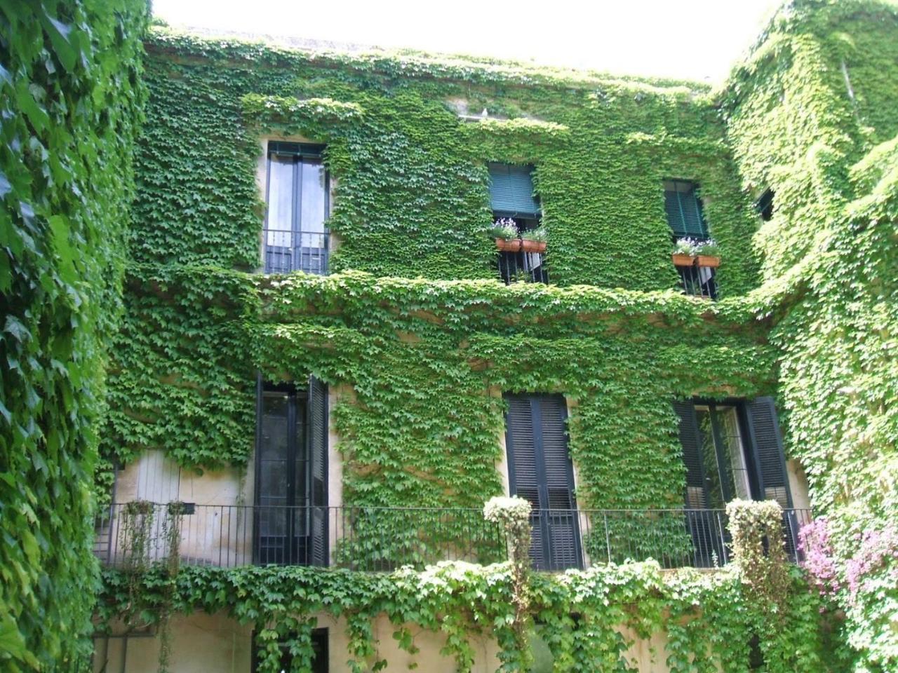 Palazzo Rollo Bed & Breakfast Lecce Dış mekan fotoğraf